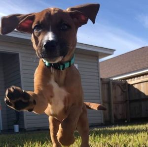 Meet your Posher, Brian